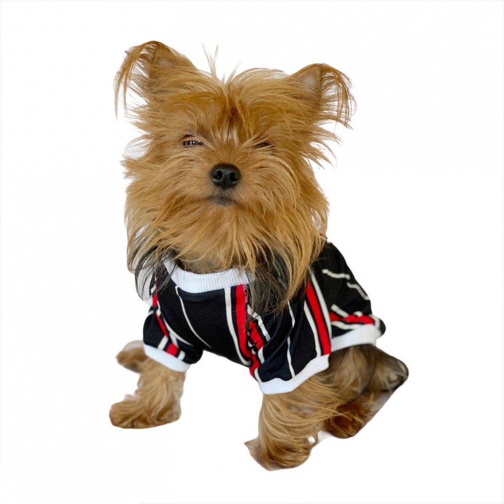Black Red White Striped Oval Yaka Tişört Köpek Kıyafeti Köpek Elbisesi