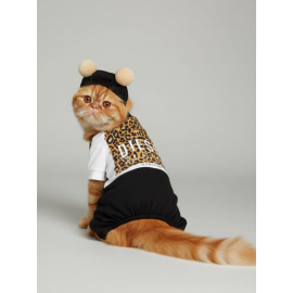 Leo Paw Kedi Tulumu & Bere Takımı | Penye Kumaş | Tüy Dökülmesini Azaltır