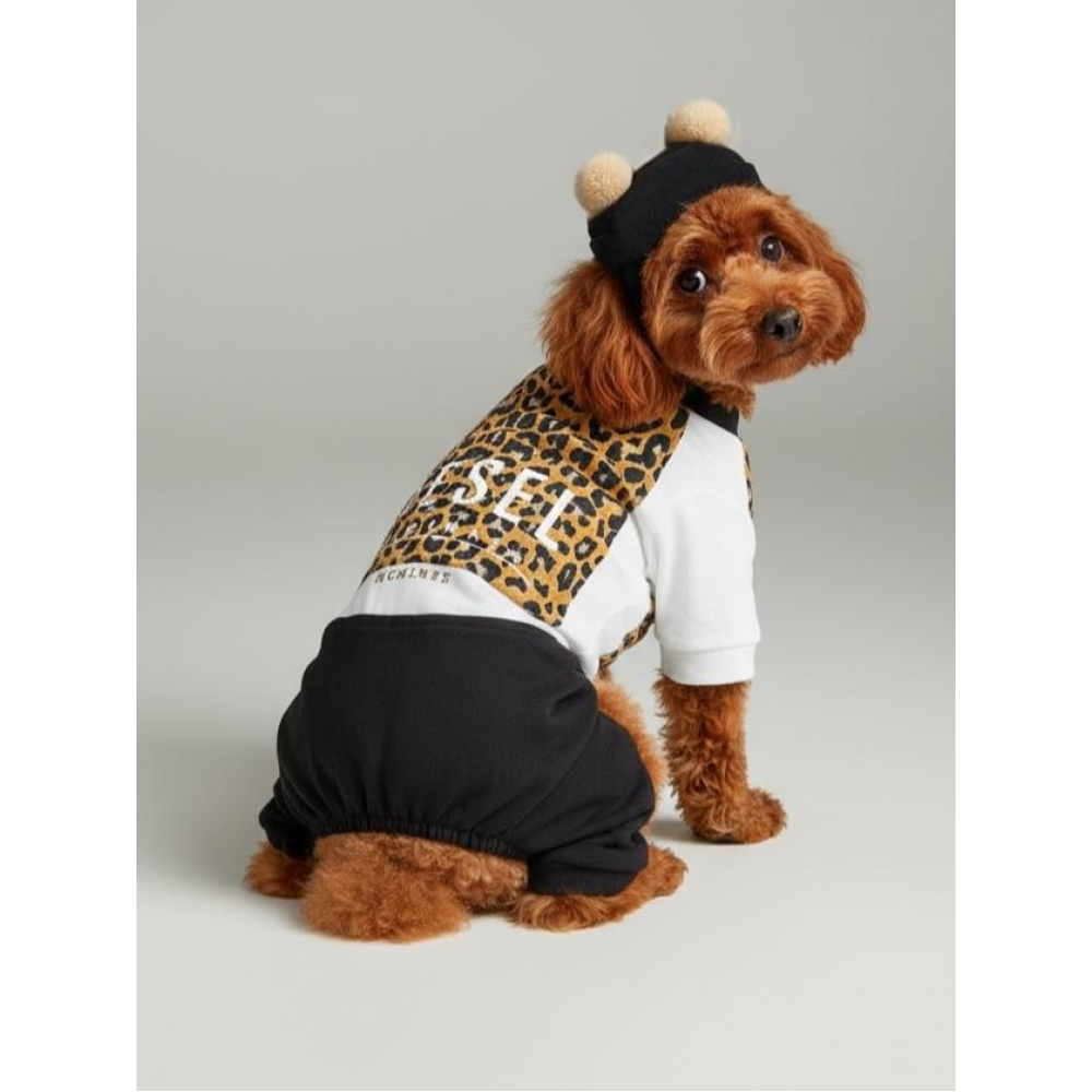 Leo Paw Köpek Tulumu & Bere Takımı | Penye Kumaş | Küçük Irk Köpekler İçin | Tüy Dökülmesini Azaltır