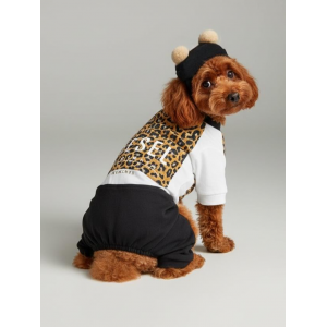 Leo Paw Köpek Tulumu & Bere Takımı | Penye Kumaş | Küçük Irk Köpekler İçin | Tüy Dökülmesini Azaltır