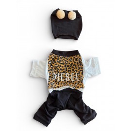 Leo Paw Köpek Tulumu & Bere Takımı | Penye Kumaş | Küçük Irk Köpekler İçin | Tüy Dökülmesini Azaltır