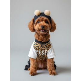 Leo Paw Köpek Tulumu & Bere Takımı | Penye Kumaş | Küçük Irk Köpekler İçin | Tüy Dökülmesini Azaltır