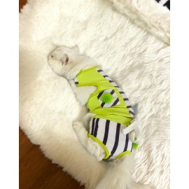 Lime Fuzz Tişört ve İç Çamaşırı Set Kedi Kıyafeti Kedi Kostümü