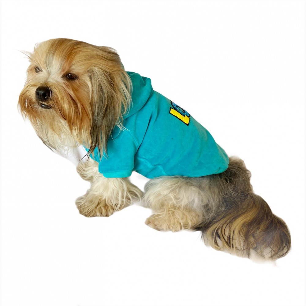 Love Velvet Kapşonlu Sweat by Kemique Köpek Kazağı