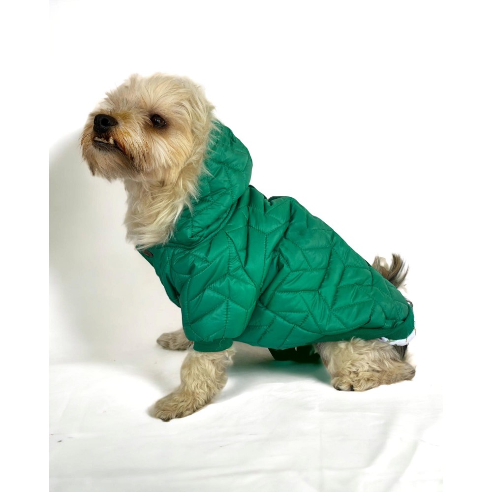 Luxy Green Köpek Montu, Köpek Ceketi, Köpek Dış Giyim