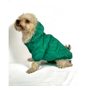 Luxy Green Köpek Montu, Köpek Ceketi, Köpek Dış Giyim