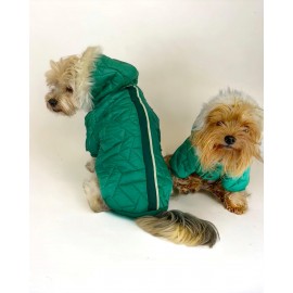 Luxy Green Köpek Montu, Köpek Ceketi, Köpek Dış Giyim