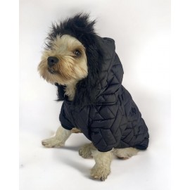Luxy Black Köpek Montu, Köpek Ceketi, Köpek Dış Giyim