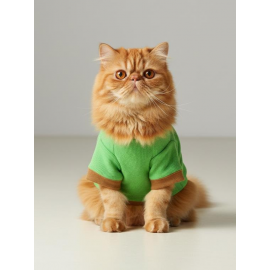 Matcha Bunny Kedi Tulumu,Kıyafeti