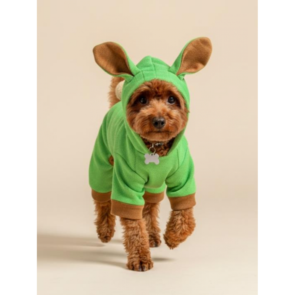 Matcha Bunny Kulaklı Köpek Tulumu Kıyafeti