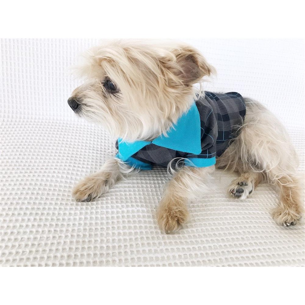 MAVİ EKOSE Polo Yaka Tişört Summer T by Kemique Köpek Kıyafeti