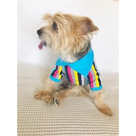 MAVİ GÖKKUŞAĞI Polo Yaka Tişört Summer T Köpek Kıyafeti,Elbisesi