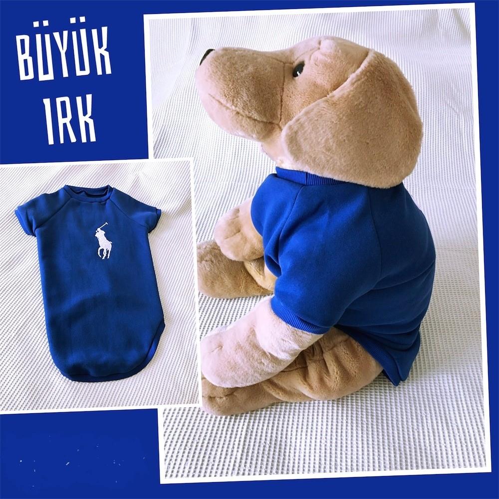 Mavi Polo Sweatshirt Orta ve Büyük ırk