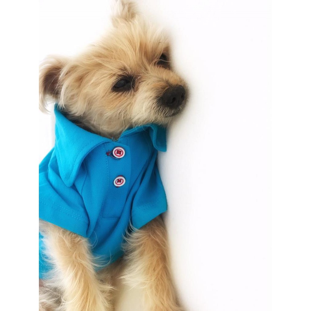 MAVİ Polo Yaka Tişört Köpek Kıyafeti Köpek Elbisesi