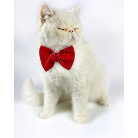 Mini Rouge Kedi Papyonu Kurdela Tasma Yılbaşı Noel