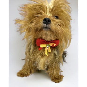 Mini Rudolph Köpek Papyonu Kurdela Tasma