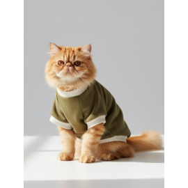 Minik Aslan Kedi Sweatshirt Haki Sıcak Tutan Yumuşak Kedi Kıyafeti