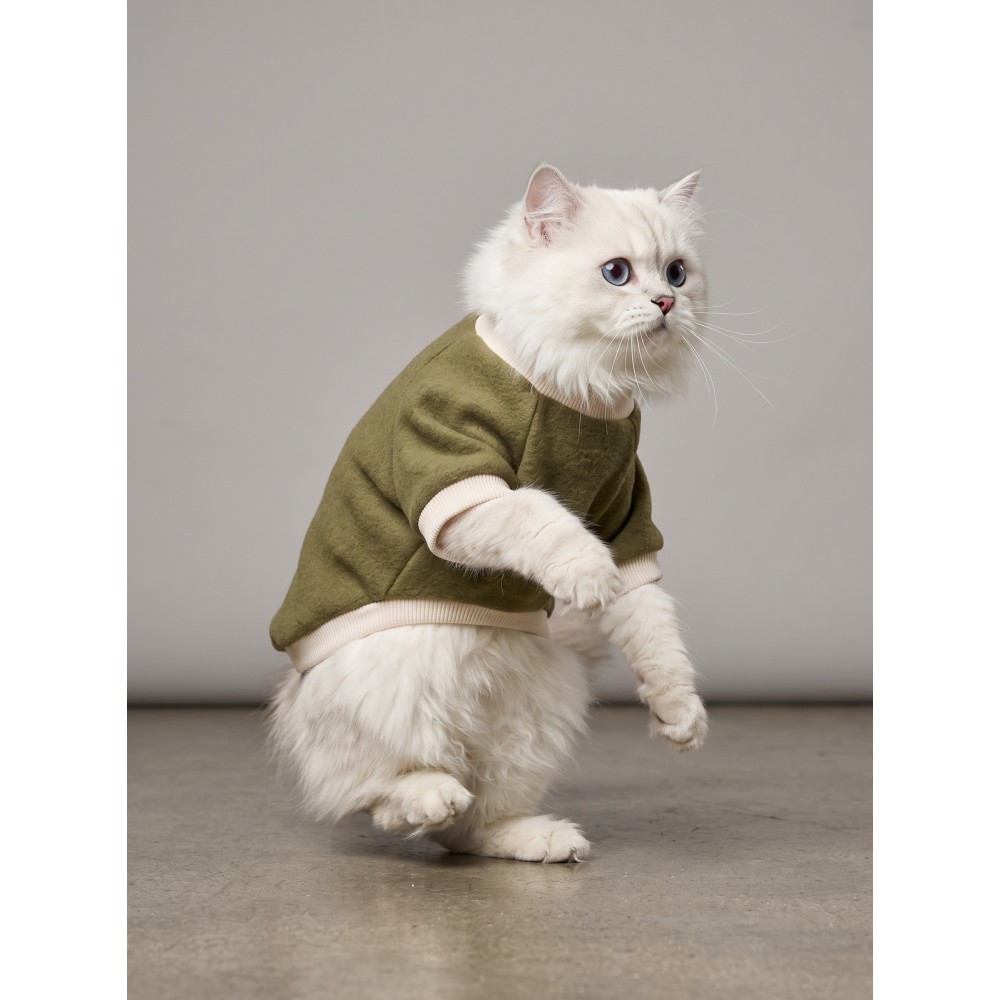 Natura Kedi Polar Sweatshirt | Kapüşonsuz Yumuşak Polar Kedi Kıyafeti | Nefti Yeşil