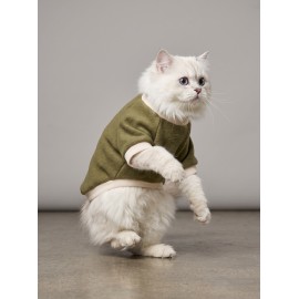 Natura Kedi Polar Sweatshirt | Kapüşonsuz Yumuşak Polar Kedi Kıyafeti | Nefti Yeşil