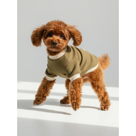 Minik Aslan Köpek Sweatshirt – Haki