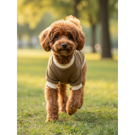 Minik Aslan Köpek Sweatshirt – Haki
