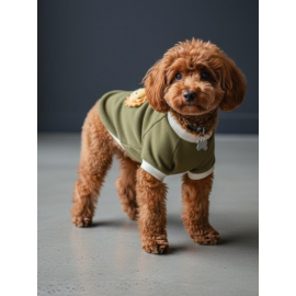 Minik Aslan Köpek Sweatshirt – Haki