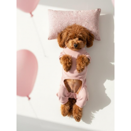 Minimini Kalpler Pembe Köpek Uyku Takımı | Pamuklu Penye Köpek Tulumu ve Mini Yastık | Küçük Irklar İçin | Tüy Dökülmesini Azaltır