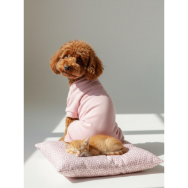 Minimini Kalpler Pembe Köpek Uyku Takımı | Pamuklu Penye Köpek Tulumu ve Mini Yastık | Küçük Irklar İçin | Tüy Dökülmesini Azaltır