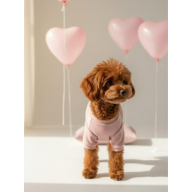 Minimini Kalpler Pembe Köpek Uyku Takımı | Pamuklu Penye Köpek Tulumu ve Mini Yastık | Küçük Irklar İçin | Tüy Dökülmesini Azaltır