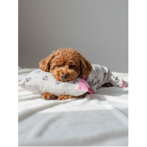 Minnie Pembe Köpek Uyku Takımı | Pamuklu Penye Köpek Tulumu ve Mini Yastık | Küçük Irklar İçin | Tüy Dökülmesini Azaltır