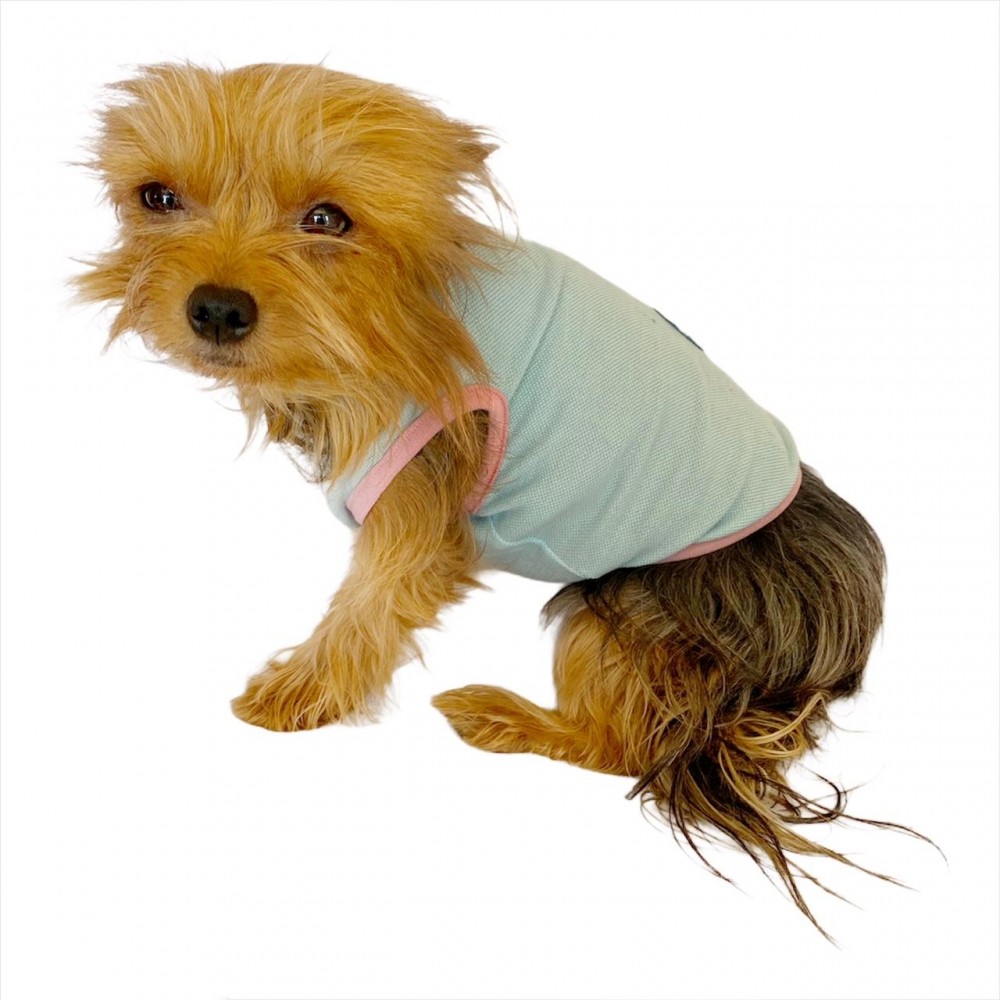 Minty Flower Power Atlet by Kemique Köpek Kıyafeti Köpek Elbise
