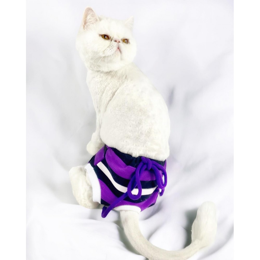 Modern Purp Kemique's Secret Kedi İç Çamaşırı  Regl Külot  Don