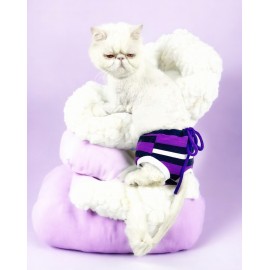 Modern Purp Kemique's Secret Kedi İç Çamaşırı  Regl Külot  Don