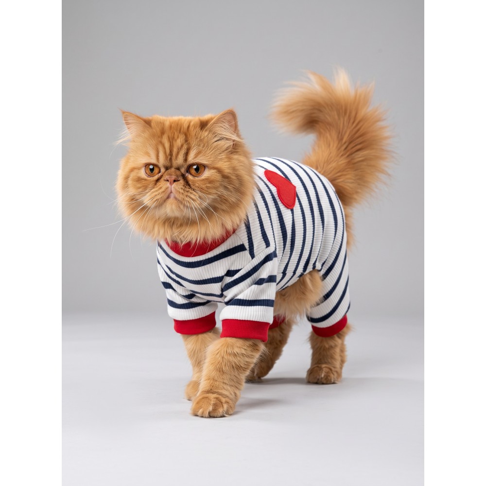 Mon Amour Çizgili Kedi Tulumu | Pamuklu Penye Kedi Kıyafeti | Küçük Irklar İçin | Tüy Dökülmesini Azaltır