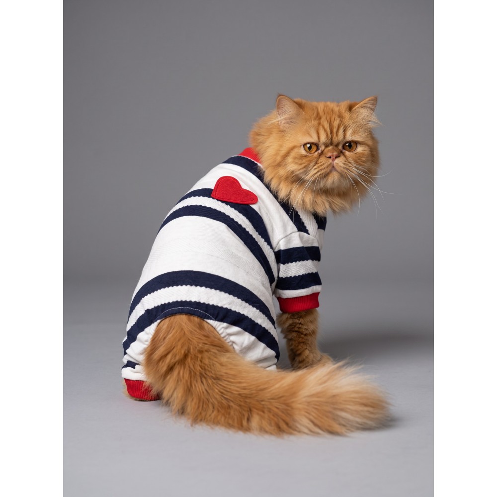 Mon Amour Çizgili Kedi Tulumu | Pamuklu Penye Kedi Kıyafeti | Küçük Irklar İçin | Tüy Dökülmesini Azaltır