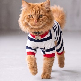 Mon Amour Çizgili Kedi Tulumu | Pamuklu Penye Kedi Kıyafeti | Küçük Irklar İçin | Tüy Dökülmesini Azaltır