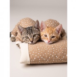 Latte Sprinkles Kedi Uyku Seti | Penye Kedi Tulum ve Mini Yastık Takımı | Pamuklu | Tüy Dökülmesini Azaltır | 