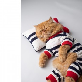 Mon Amour Çizgili Kedi Uyku Seti | Penye Kedi Tulum ve Mini Yastık Takımı | Pamuklu | Tüy Dökülmesini Azaltır | 