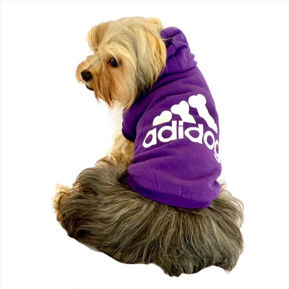 Mor Adidog Kapşonlu Köpek Sweatshirt Köpek Kazağı