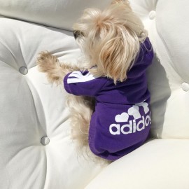 Mor Sporty Duo Adidog Sweatshirt