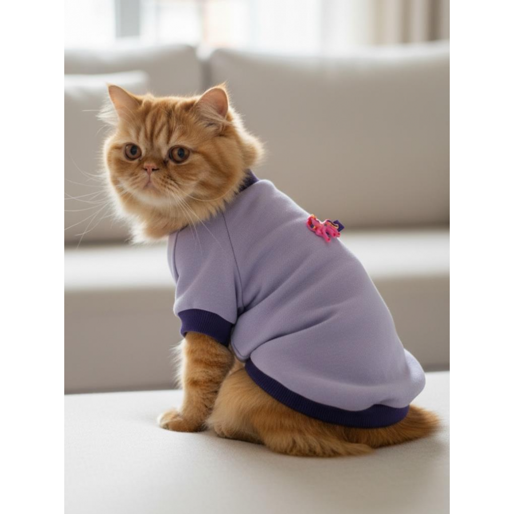 My Bella Pony Mor ve Lila Kedi Polar Sweatshirt