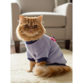 My Bella Pony Mor ve Lila Kedi Polar Sweatshirt