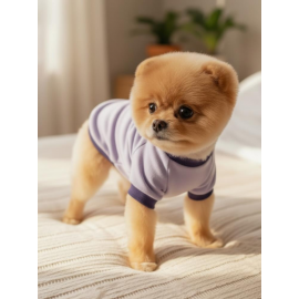 My Bella Pony Sweatshirt - Ufak Irk Köpekler İçin