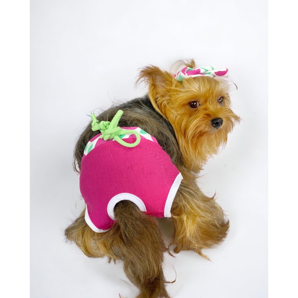 Fruit Party Kemique's Secret Köpek İç Çamaşırı Regl Külot Don