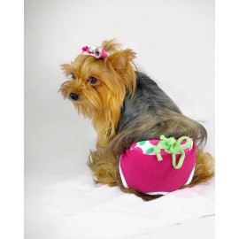 Fruit Party Kemique's Secret Köpek İç Çamaşırı Regl Külot Don