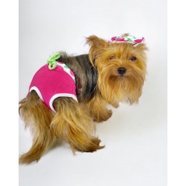 Fruit Party Kemique's Secret Köpek İç Çamaşırı Regl Külot Don