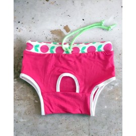 Fruit Party Kemique's Secret Köpek İç Çamaşırı Regl Külot Don