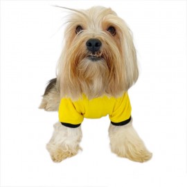 Yellow Lux Kapşonlu Sweatshirt Köpek Kıyafeti Köpek Elbisesi 