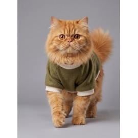Natura Cozy Pati & Yastık | Nefti Yeşil Polar Kedi Sweatshirt ve Mini Yastık | 2 Parça