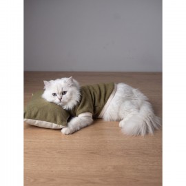 Natura Cozy Pati & Yastık | Nefti Yeşil Polar Kedi Sweatshirt ve Mini Yastık | 2 Parça